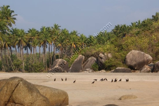 Agonda Beach, Goa