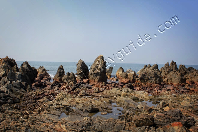 Arambol Beach, Goa 4