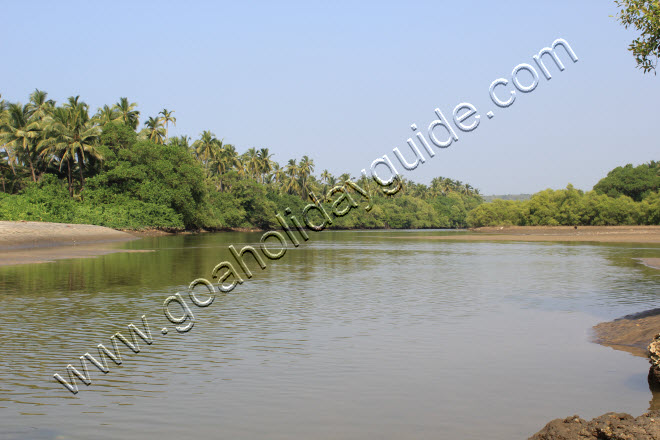 Ashvem Beach, Goa