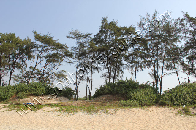Betalbatim Beach, Goa