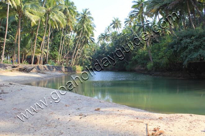 Canaiguinim Beach, Goa