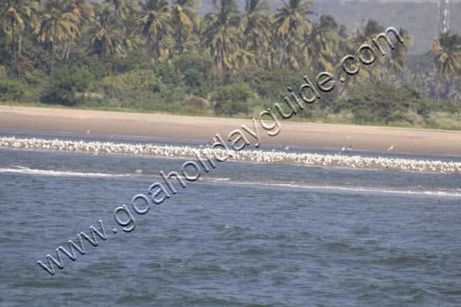 Chapora Beach, Goa