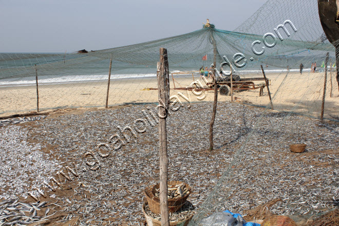 Colva Beach, Goa