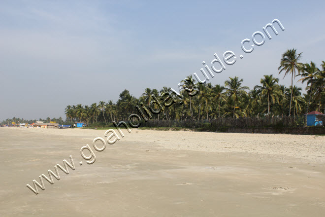 Consua Beach, Goa