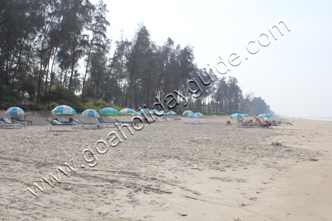 Tourists lounging under Beach Umbrellas