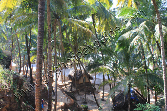 Dharvalem Beach, Goa