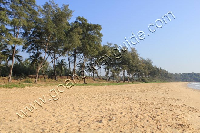 Galgibag Beach, Goa