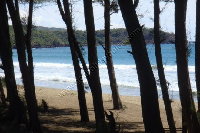 Galgibag Beach, Goa