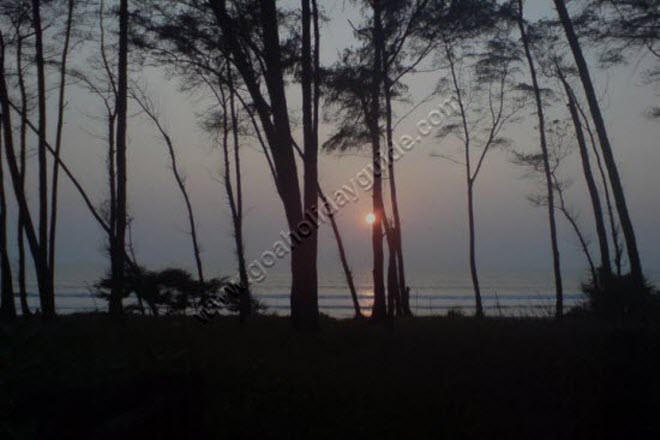 Galgibag Beach, Goa