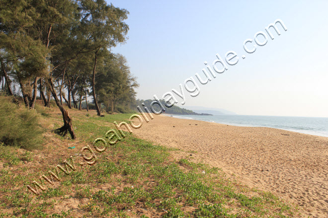 Galgibag Beach, Goa