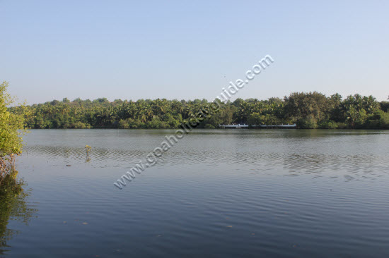 Galgibag Beach, Goa