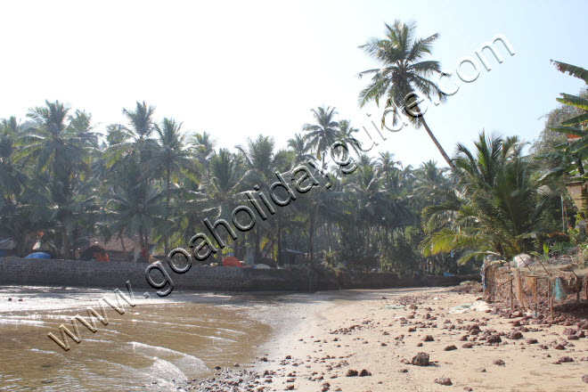 Hollant Beach, Goa