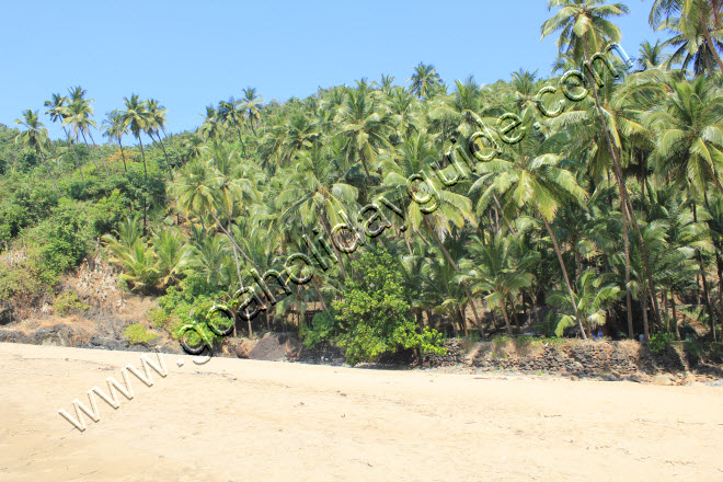 Kakolem Beach, Goa