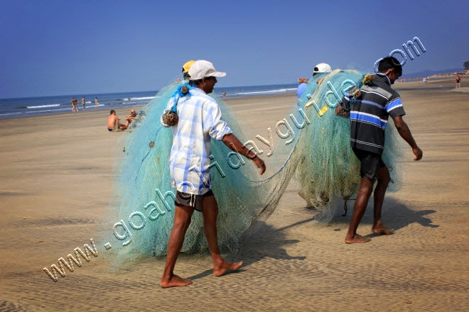 Mandrem Beach, Goa