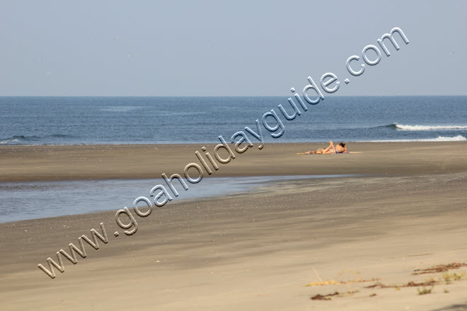 Morjim Beach, Goa