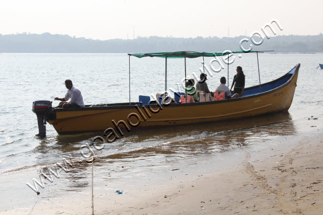 Morjim Beach, Goa