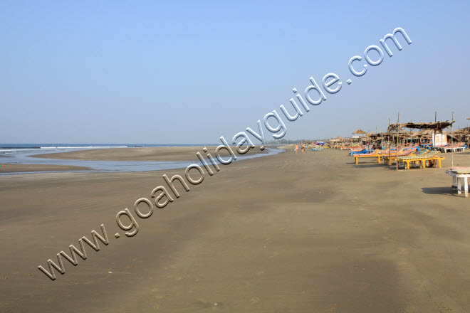 Morjim Beach, Goa
