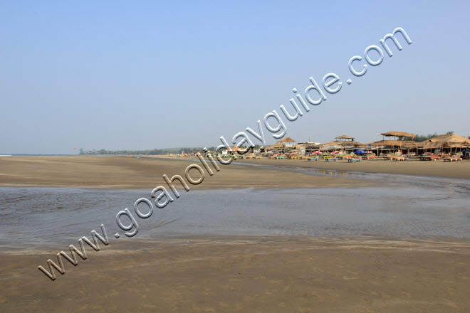 Morjim Beach, Goa