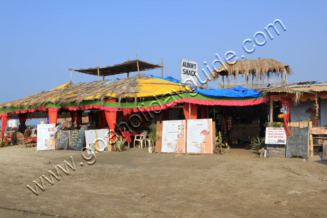 Morjim Beach, Goa