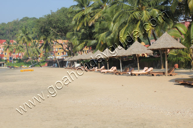 Vaiguinim Beach, Goa