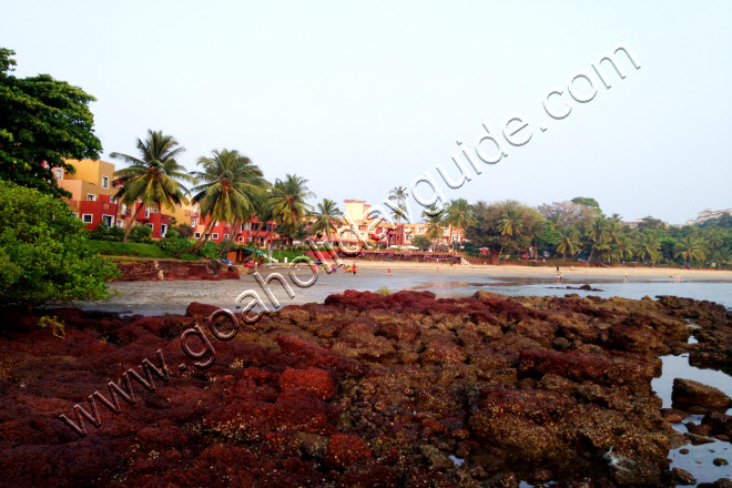 Vaiguinim Beach, Goa