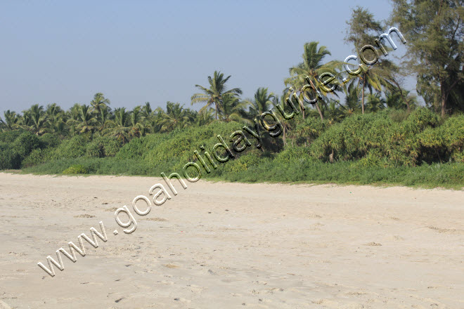 Velsao Beach, Goa