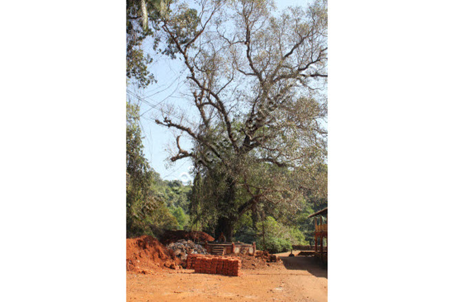 Rudreshwar Temple, Goa