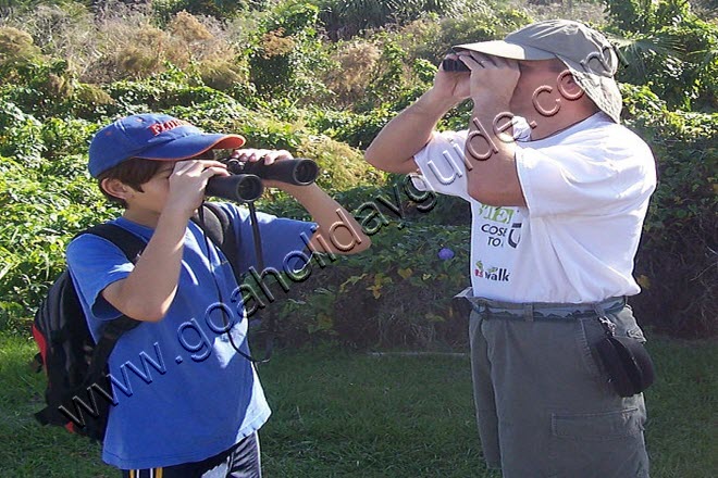 Birdwatching in Goa