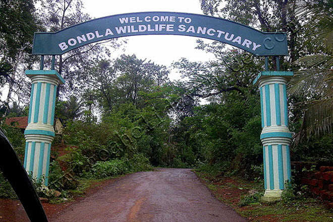 Bondla Wildlife Sanctuary, Goa