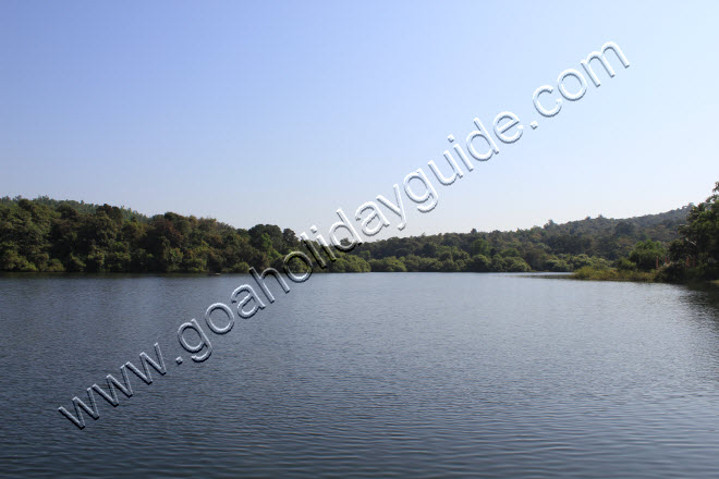 Carambolim Lake, Goa