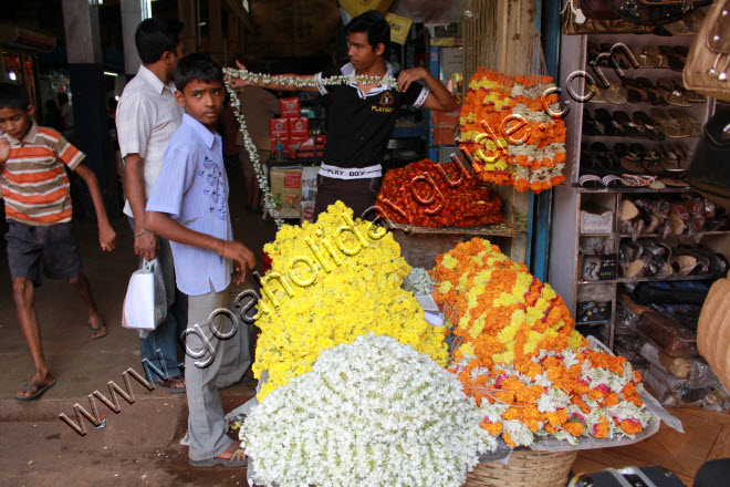 Friday Market in Mapusa