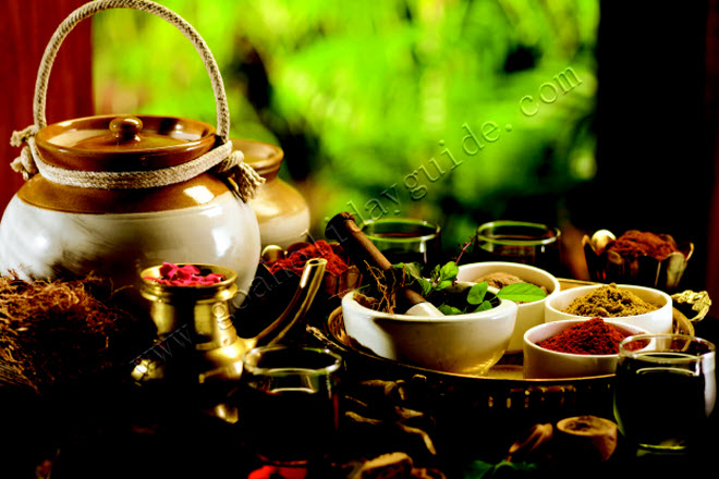 Rejuvenate With Ayurveda In Goa