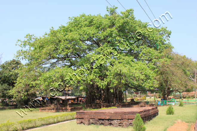 Safa Masjid