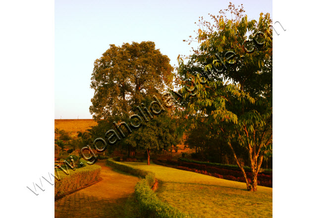 Botanical Garden at Salaulim